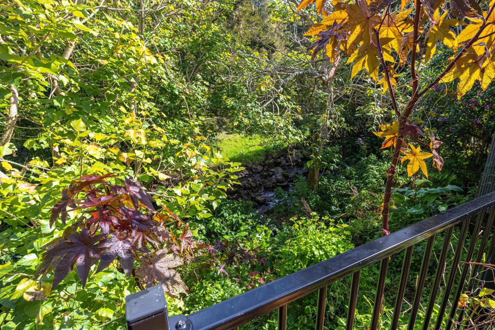 פאנגאריי Waimoana Garden Accommodation מראה חיצוני תמונה