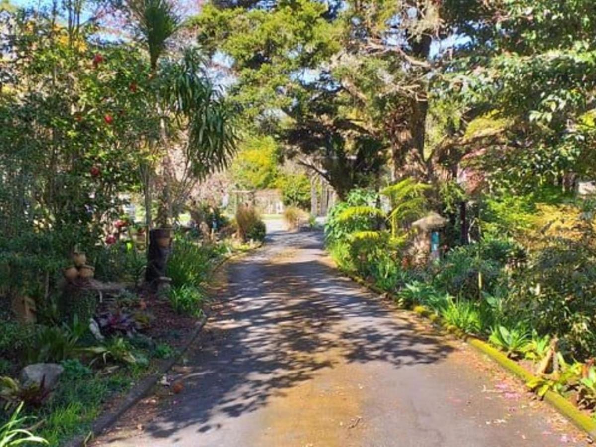 פאנגאריי Waimoana Garden Accommodation מראה חיצוני תמונה